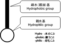 図2　界面活性剤の基本構造 img