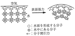 図4　表面張力の原理 img