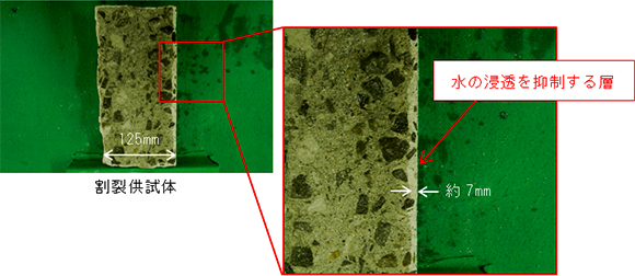 写真-2　水の浸透を抑制する層の例 img