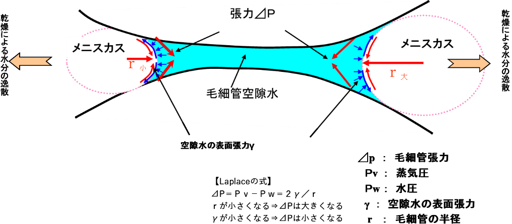 図-3　乾燥時に発生する毛細管張力の模式図 img