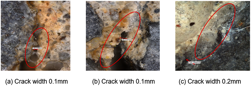 図-4　ひび割れ中繊維近傍の析出物の付着状況 img
