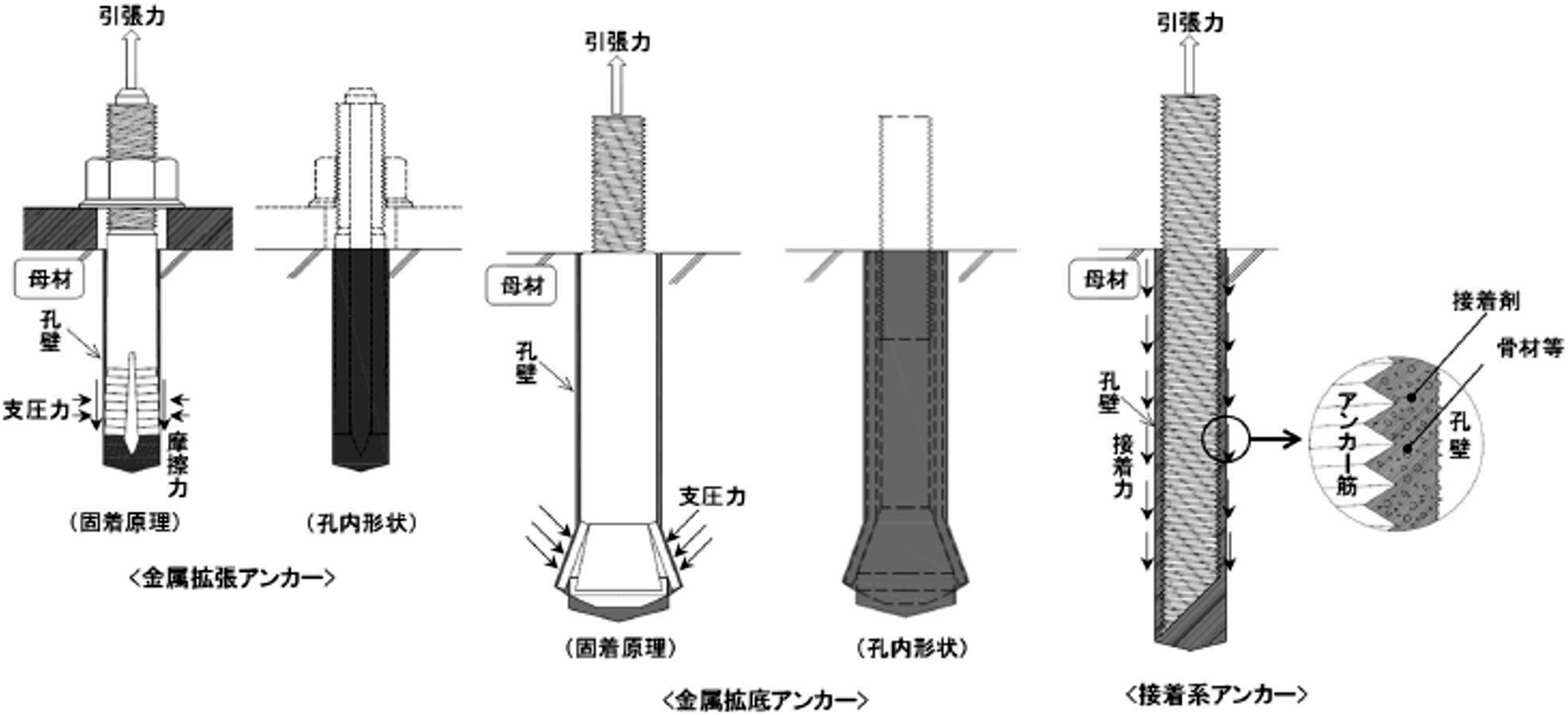 図-2　あと施工アンカーの固着原理 img